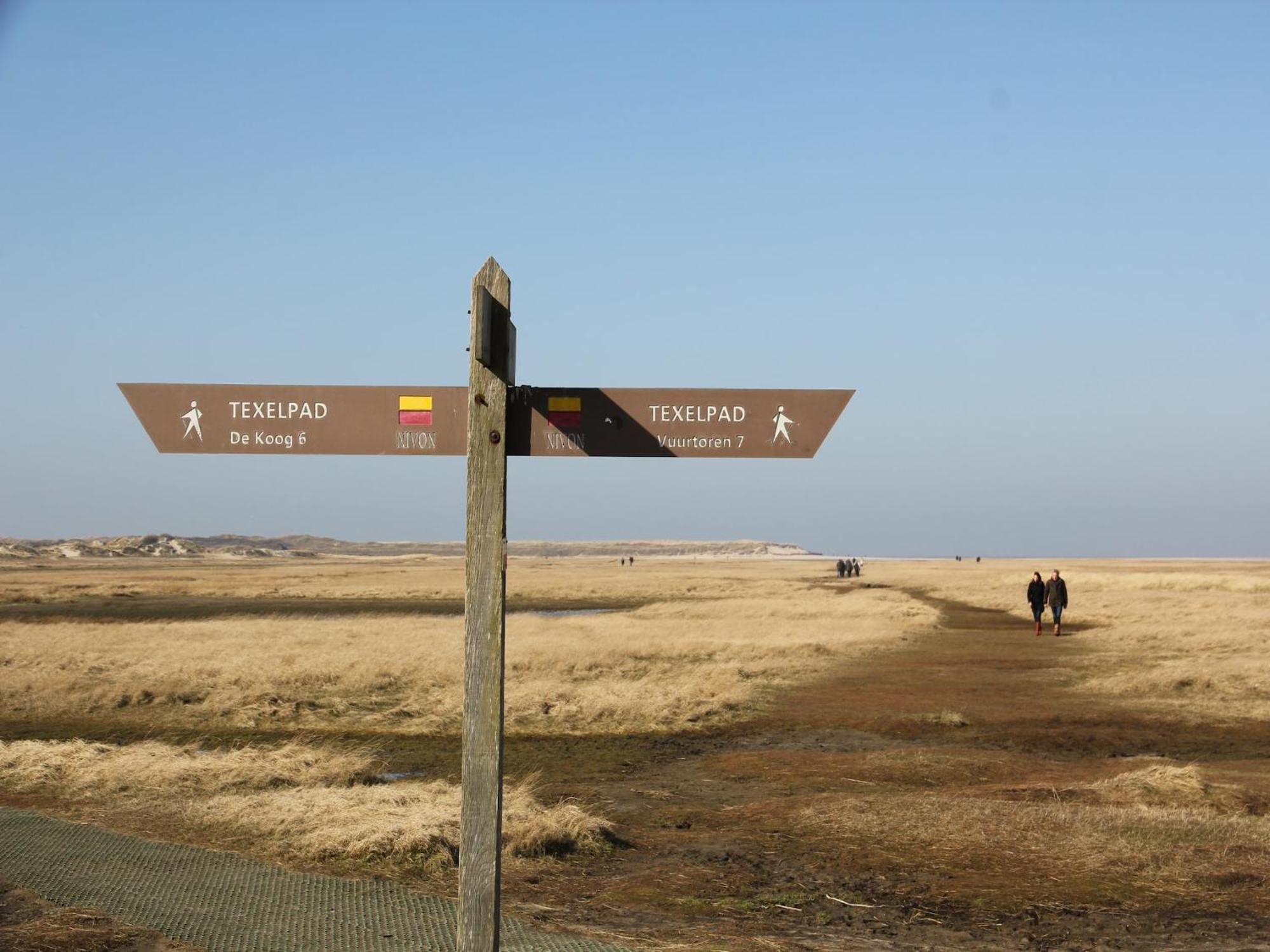 Lovely Holiday Home In Texel Near Sea Oost  Ngoại thất bức ảnh