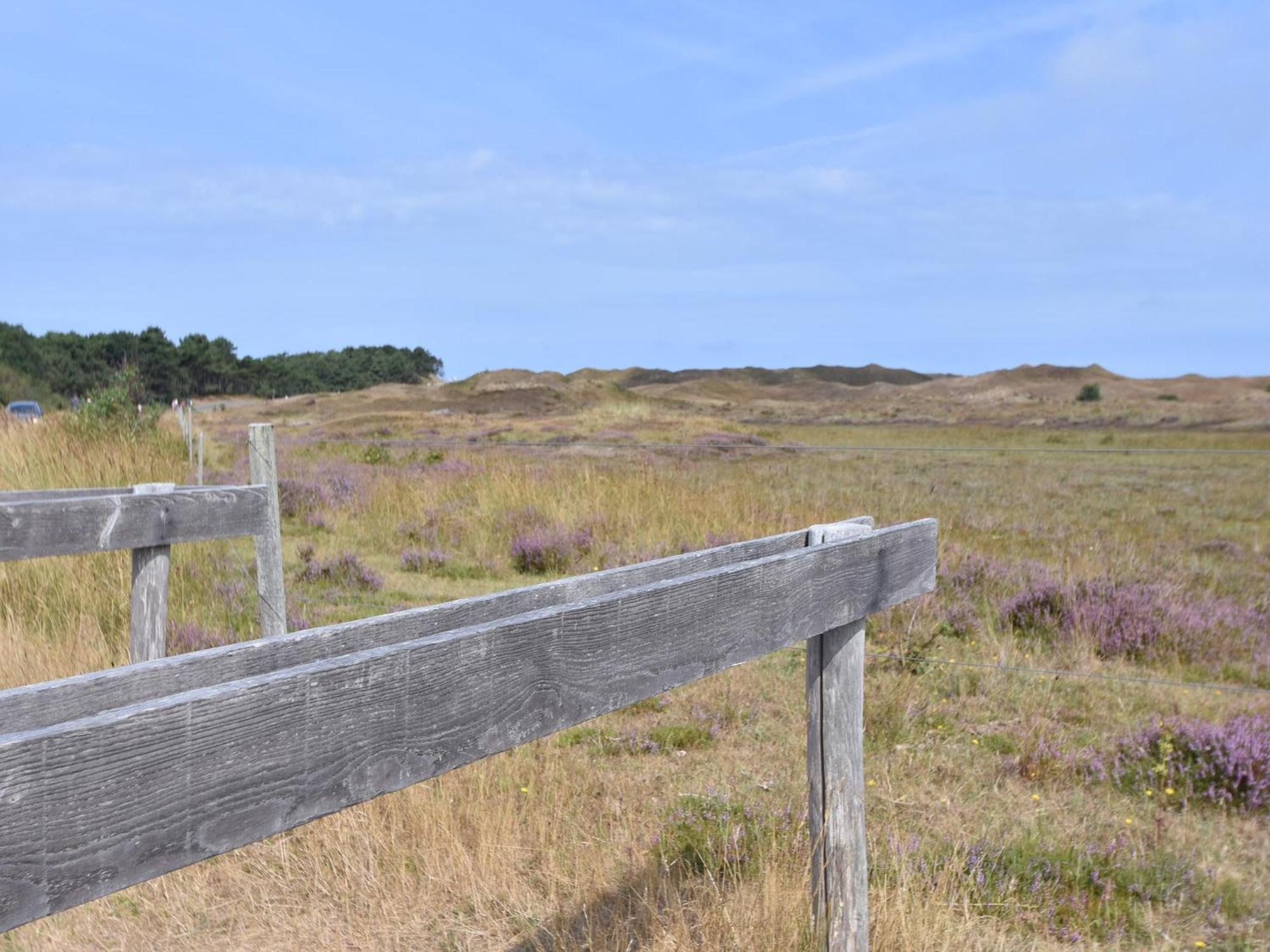 Lovely Holiday Home In Texel Near Sea Oost  Ngoại thất bức ảnh