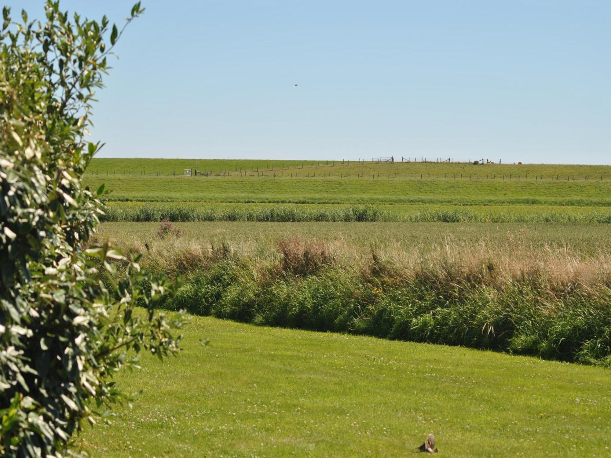 Lovely Holiday Home In Texel Near Sea Oost  Ngoại thất bức ảnh